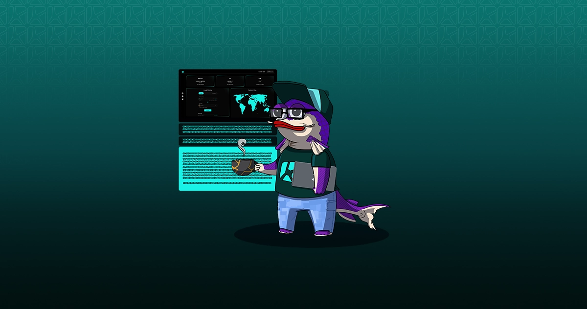Liqashy Developer